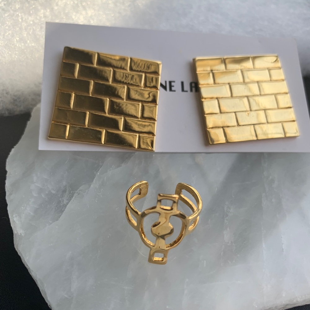 🤩 Alynne Lavigne Earrings and Ring MUST SEE